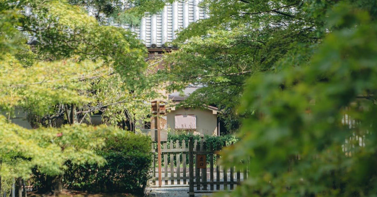 Enhancing Garden Unity through Rhythmic Design