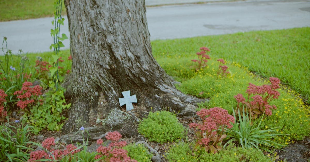 Harmonizing Nature and Simplicity in Garden Landscapes