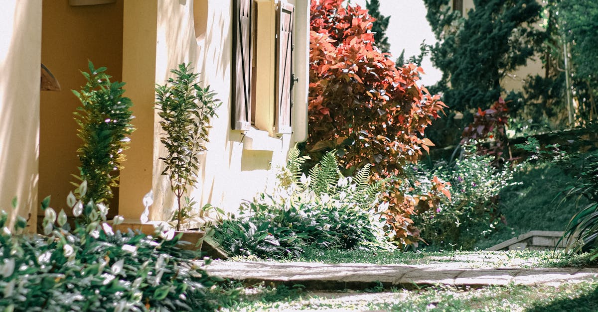 Plant Selection for Informal Balance in Landscape Gardening
