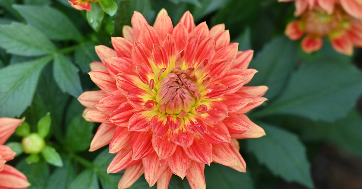 The Importance of Repetition in Landscape Gardening