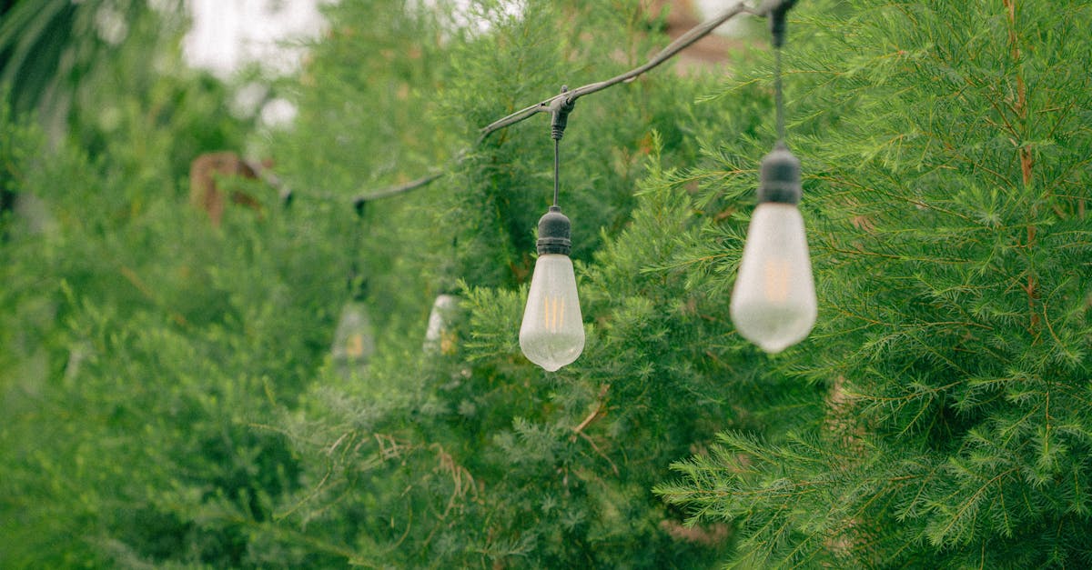 Traditional Techniques for Formal Balance in Landscape Gardening